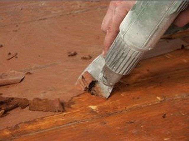 Фарбування деревяної підлоги своїми руками