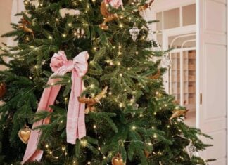 Aksamitne kokardki: główny trend dekoracji świątecznych 2024