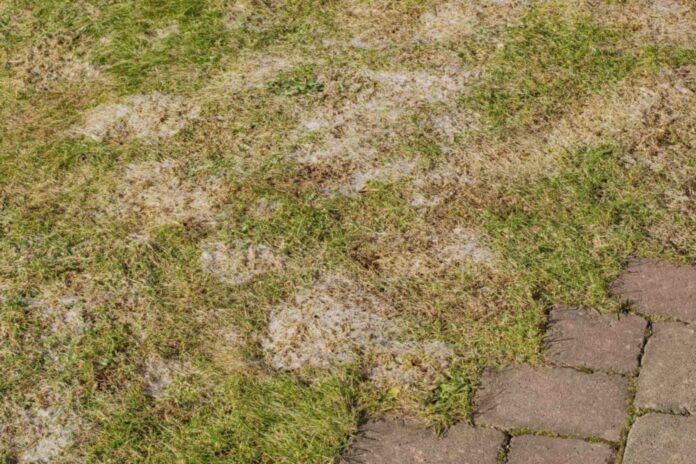 5f55daab-bdaa-4378-8639-d9d74a87e8bd