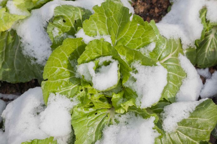 716e5c6f-332b-454e-a6e5-00812b6a4bef