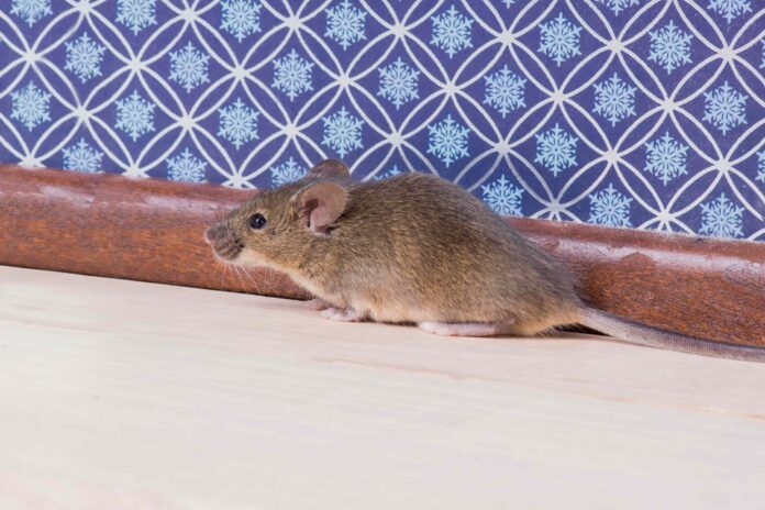 c2068221-14f7-4cde-874c-a35226ed8559