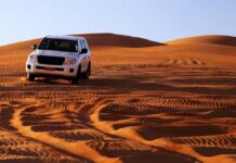 Найнадійніші позашляховики: моделі, які проїхали понад 400 000 км