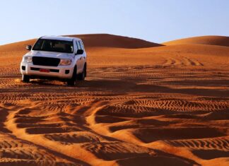 Die langlebigsten SUVs: Modelle, die mehr als 250.000 Meilen halten