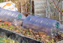 Připravte svou zeleninovou zahradu na bohatou sklizeň