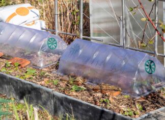 Підготуйте Город Зараз для Багатого Урожаю