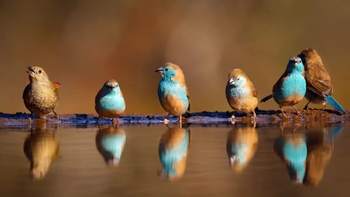 5e837749-66cb-4ec5-a7df-eaa4f7472215