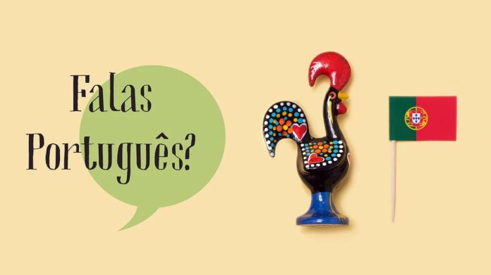 6d740110-a825-4f5b-a824-e9b6f52ef05e