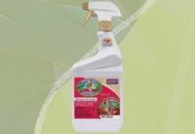 Поиск золотой середины: руководство по выбору лучших инсектицидов для дома и сада