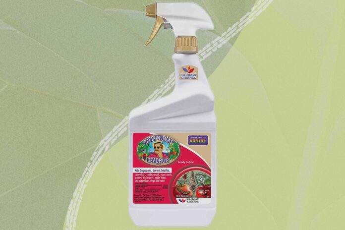 7f2e462e-05cf-47bb-824d-11992d31d540