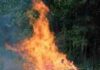 How to Stop Heat Loss in Home Renovations: Conduction, Radiation, and Convection